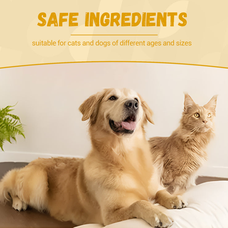 Pet Nutritional Supplements Enhance Energy Vitality - Bright ideas