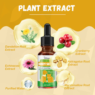 Pet Nutritional Supplements Enhance Energy Vitality - Bright ideas