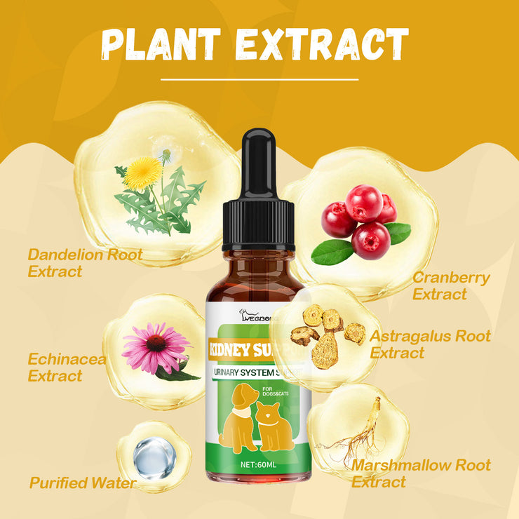 Pet Nutritional Supplements Enhance Energy Vitality - Bright ideas