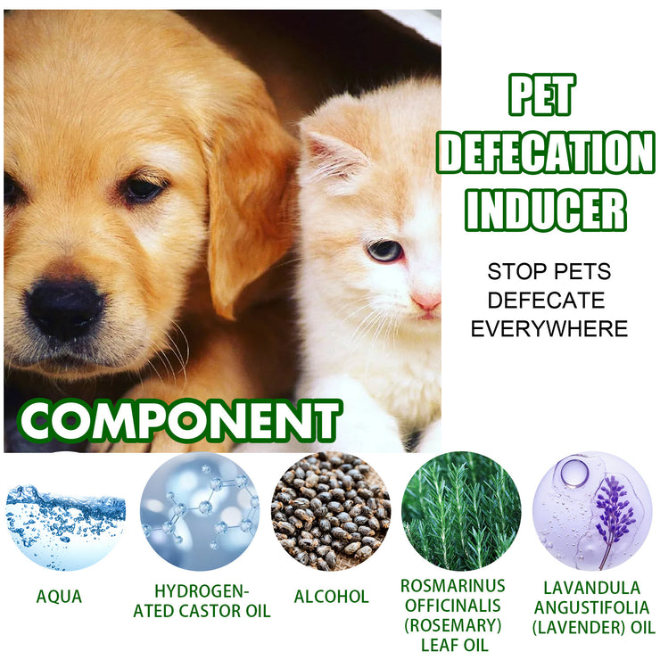 Yegbong Pet Positioning Toilet Inducer Pet Toilet Positioning Toilet Trainer - Bright ideas