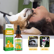 Pet Nutritional Supplements Enhance Energy Vitality - Bright ideas