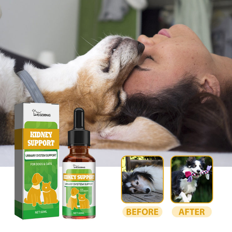 Pet Nutritional Supplements Enhance Energy Vitality - Bright ideas
