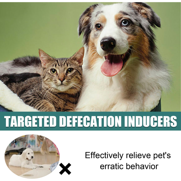 Yegbong Pet Positioning Toilet Inducer Pet Toilet Positioning Toilet Trainer - Bright ideas