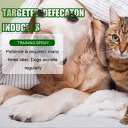 Yegbong Pet Positioning Toilet Inducer Pet Toilet Positioning Toilet Trainer - Bright ideas
