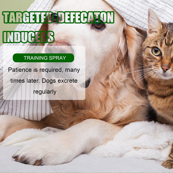 Yegbong Pet Positioning Toilet Inducer Pet Toilet Positioning Toilet Trainer - Bright ideas