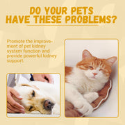 Pet Nutritional Supplements Enhance Energy Vitality - Bright ideas