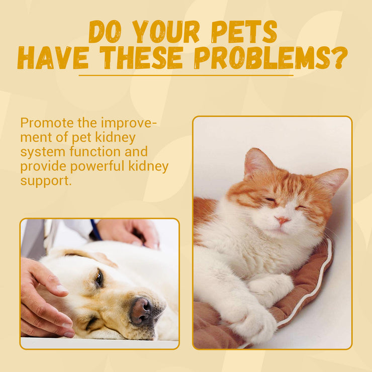 Pet Nutritional Supplements Enhance Energy Vitality - Bright ideas